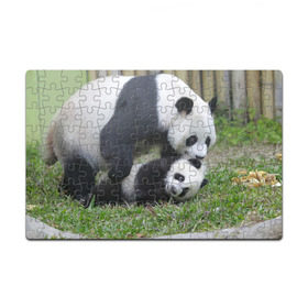 Пазл магнитный 126 элементов с принтом Мамочка и сыночек панды в Петрозаводске, полимерный материал с магнитным слоем | 126 деталей, размер изделия —  180*270 мм | Тематика изображения на принте: бамбук | животное | медведь
