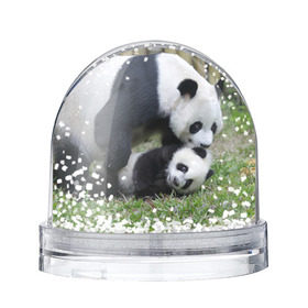 Снежный шар с принтом Мамочка и сыночек панды в Петрозаводске, Пластик | Изображение внутри шара печатается на глянцевой фотобумаге с двух сторон | бамбук | животное | медведь