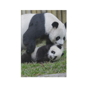 Обложка для паспорта матовая кожа с принтом Мамочка и сыночек панды в Петрозаводске, натуральная матовая кожа | размер 19,3 х 13,7 см; прозрачные пластиковые крепления | Тематика изображения на принте: бамбук | животное | медведь