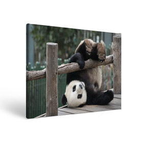 Холст прямоугольный с принтом Паркур панда в Петрозаводске, 100% ПВХ |  | бамбук | животное | медведь