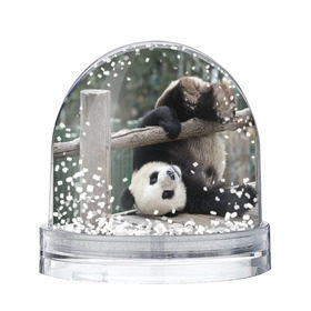 Снежный шар с принтом Паркур панда в Петрозаводске, Пластик | Изображение внутри шара печатается на глянцевой фотобумаге с двух сторон | бамбук | животное | медведь