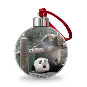 Ёлочный шар с принтом Паркур панда в Петрозаводске, Пластик | Диаметр: 77 мм | бамбук | животное | медведь