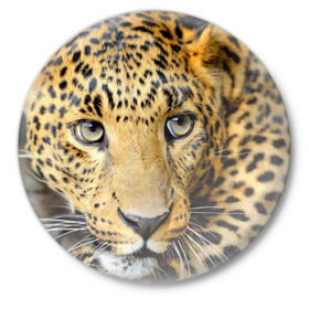 Значок с принтом Леопард в Петрозаводске,  металл | круглая форма, металлическая застежка в виде булавки | властелин | глаз | грация | животные | зверь | кот | кошачий | кошки | крупный | леопард | лес | млекопитающее | природа | пятна | рыжий | усатый | усы | фауна | флора | хищник | хозяин | царь джунгли