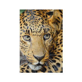 Обложка для паспорта матовая кожа с принтом Леопард в Петрозаводске, натуральная матовая кожа | размер 19,3 х 13,7 см; прозрачные пластиковые крепления | властелин | глаз | грация | животные | зверь | кот | кошачий | кошки | крупный | леопард | лес | млекопитающее | природа | пятна | рыжий | усатый | усы | фауна | флора | хищник | хозяин | царь джунгли