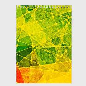 Скетчбук с принтом Particles в Петрозаводске, 100% бумага
 | 48 листов, плотность листов — 100 г/м2, плотность картонной обложки — 250 г/м2. Листы скреплены сверху удобной пружинной спиралью | желтый | зеленый | потертый | треугольники | яркий