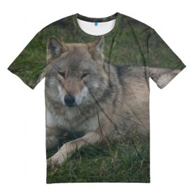 Мужская футболка 3D с принтом Серый волк в Петрозаводске, 100% полиэфир | прямой крой, круглый вырез горловины, длина до линии бедер | 