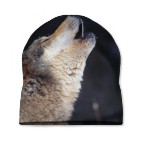 Шапка 3D с принтом Вой серого волка в Петрозаводске, 100% полиэстер | универсальный размер, печать по всей поверхности изделия | серый