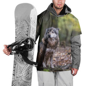 Накидка на куртку 3D с принтом Серый волк в Петрозаводске, 100% полиэстер |  | бирюк | волк | волчара | волчица | волчок | глаза | животное | животные | зверь | зеленые | койот | лес | млекопитающее | природа | санитар леса | серый | уши | фауна | хищник | черный | шакал