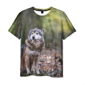 Мужская футболка 3D с принтом Серый волк в Петрозаводске, 100% полиэфир | прямой крой, круглый вырез горловины, длина до линии бедер | бирюк | волк | волчара | волчица | волчок | глаза | животное | животные | зверь | зеленые | койот | лес | млекопитающее | природа | санитар леса | серый | уши | фауна | хищник | черный | шакал