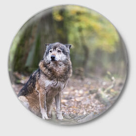 Значок с принтом Серый волк в Петрозаводске,  металл | круглая форма, металлическая застежка в виде булавки | бирюк | волк | волчара | волчица | волчок | глаза | животное | животные | зверь | зеленые | койот | лес | млекопитающее | природа | санитар леса | серый | уши | фауна | хищник | черный | шакал