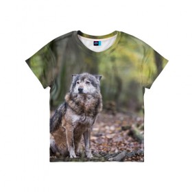 Детская футболка 3D с принтом Серый волк в Петрозаводске, 100% гипоаллергенный полиэфир | прямой крой, круглый вырез горловины, длина до линии бедер, чуть спущенное плечо, ткань немного тянется | бирюк | волк | волчара | волчица | волчок | глаза | животное | животные | зверь | зеленые | койот | лес | млекопитающее | природа | санитар леса | серый | уши | фауна | хищник | черный | шакал