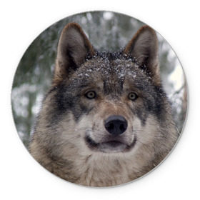 Коврик круглый с принтом Серый волк в Петрозаводске, резина и полиэстер | круглая форма, изображение наносится на всю лицевую часть | бирюк | волк | волчара | волчица | волчок | глаза | животное | животные | зверь | зеленые | койот | лес | млекопитающее | природа | санитар леса | серый | уши | фауна | хищник | черный | шакал