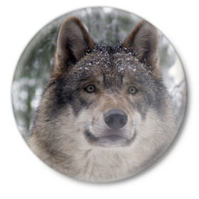 Значок с принтом Серый волк в Петрозаводске,  металл | круглая форма, металлическая застежка в виде булавки | бирюк | волк | волчара | волчица | волчок | глаза | животное | животные | зверь | зеленые | койот | лес | млекопитающее | природа | санитар леса | серый | уши | фауна | хищник | черный | шакал