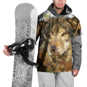 Накидка на куртку 3D с принтом Волк в Петрозаводске, 100% полиэстер |  | бирюк | волк | волчара | волчица | волчок | глаза | животное | животные | зверь | зеленые | койот | лес | млекопитающее | природа | санитар леса | серый | уши | фауна | хищник | черный | шакал