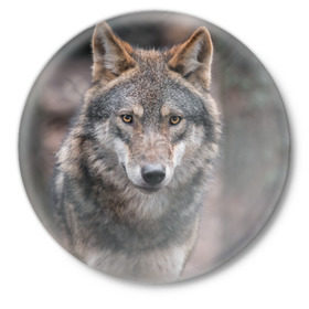 Значок с принтом Волк - санитар леса в Петрозаводске,  металл | круглая форма, металлическая застежка в виде булавки | серый