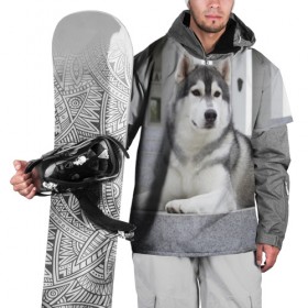 Накидка на куртку 3D с принтом Волчья парода в Петрозаводске, 100% полиэстер |  | аука | бирюк | волк | волчара | волчица | волчок | город | животное | животные | зверь | койот | лес | млекопитающее | парода | санитар леса | серый | собака | уши | фауна | хищник | черный | шакал