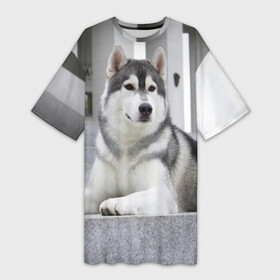 Платье-футболка 3D с принтом Волчья парода в Петрозаводске,  |  | аука | бирюк | волк | волчара | волчица | волчок | город | животное | животные | зверь | койот | лес | млекопитающее | парода | санитар леса | серый | собака | уши | фауна | хищник | черный | шакал