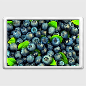 Магнит 45*70 с принтом Голубика в Петрозаводске, Пластик | Размер: 78*52 мм; Размер печати: 70*45 | blueberry | голубика | черника | ягоды