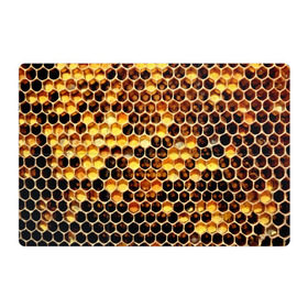 Магнитный плакат 3Х2 с принтом Соты в Петрозаводске, Полимерный материал с магнитным слоем | 6 деталей размером 9*9 см | желтый | мед | улей | черный