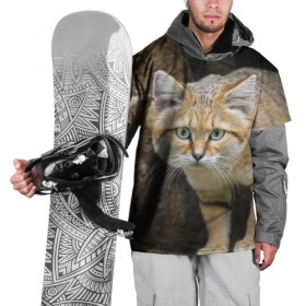 Накидка на куртку 3D с принтом Песчаный кот в Петрозаводске, 100% полиэстер |  | грустный | добрый | животное | киса | киска кися | кот | котенок | котэ | кошка | красивый | лапа | лапка | ласковый | милый | моська | мурлыка | прикольный | смешной | унылый | усатый | шерсть