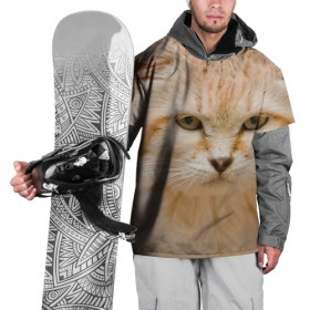 Накидка на куртку 3D с принтом Рыжий кот в Петрозаводске, 100% полиэстер |  | Тематика изображения на принте: грустный | добрый | животное | киса | киска кися | кот | котенок | котэ | кошка | красивый | лапа | лапка | ласковый | милый | моська | мурлыка | прикольный | смешной | унылый | усатый | шерсть