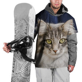 Накидка на куртку 3D с принтом Серый кот в Петрозаводске, 100% полиэстер |  | Тематика изображения на принте: грустный | добрый | животное | киса | киска кися | кот | котенок | котэ | кошка | красивый | лапа | лапка | ласковый | милый | моська | мурлыка | прикольный | смешной | унылый | усатый | шерсть