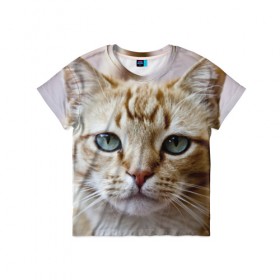 Детская футболка 3D с принтом Рыжий кот, зеленые глаза в Петрозаводске, 100% гипоаллергенный полиэфир | прямой крой, круглый вырез горловины, длина до линии бедер, чуть спущенное плечо, ткань немного тянется | Тематика изображения на принте: грустный | добрый | животное | киса | киска кися | кот | котенок | котэ | кошка | красивый | лапа | лапка | ласковый | милый | моська | мурлыка | прикольный | смешной | унылый | усатый | шерсть
