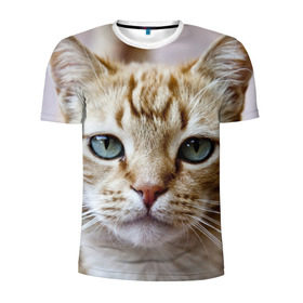 Мужская футболка 3D спортивная с принтом Рыжий кот, зеленые глаза в Петрозаводске, 100% полиэстер с улучшенными характеристиками | приталенный силуэт, круглая горловина, широкие плечи, сужается к линии бедра | Тематика изображения на принте: грустный | добрый | животное | киса | киска кися | кот | котенок | котэ | кошка | красивый | лапа | лапка | ласковый | милый | моська | мурлыка | прикольный | смешной | унылый | усатый | шерсть
