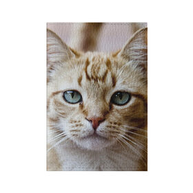 Обложка для паспорта матовая кожа с принтом Рыжий кот, зеленые глаза в Петрозаводске, натуральная матовая кожа | размер 19,3 х 13,7 см; прозрачные пластиковые крепления | Тематика изображения на принте: грустный | добрый | животное | киса | киска кися | кот | котенок | котэ | кошка | красивый | лапа | лапка | ласковый | милый | моська | мурлыка | прикольный | смешной | унылый | усатый | шерсть