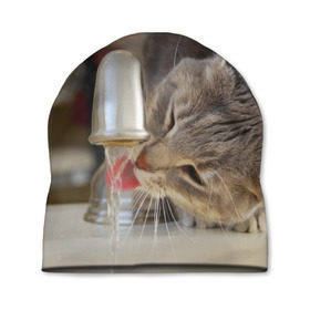 Шапка 3D с принтом Кот пьющий воду из под крана в Петрозаводске, 100% полиэстер | универсальный размер, печать по всей поверхности изделия | Тематика изображения на принте: 