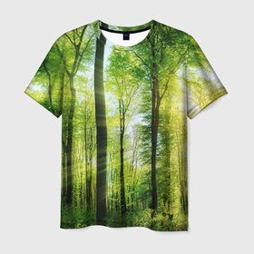Мужская футболка 3D с принтом Солнечный лес в Петрозаводске, 100% полиэфир | прямой крой, круглый вырез горловины, длина до линии бедер | деревья | зелень | лес | лето | лучи солнца | солнце | тайга