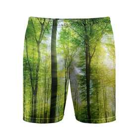 Мужские шорты 3D спортивные с принтом Солнечный лес в Петрозаводске,  |  | деревья | зелень | лес | лето | лучи солнца | солнце | тайга