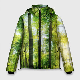 Мужская зимняя куртка 3D с принтом Солнечный лес в Петрозаводске, верх — 100% полиэстер; подкладка — 100% полиэстер; утеплитель — 100% полиэстер | длина ниже бедра, свободный силуэт Оверсайз. Есть воротник-стойка, отстегивающийся капюшон и ветрозащитная планка. 

Боковые карманы с листочкой на кнопках и внутренний карман на молнии. | деревья | зелень | лес | лето | лучи солнца | солнце | тайга