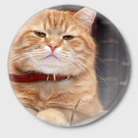 Значок с принтом Рыжий кот в Петрозаводске,  металл | круглая форма, металлическая застежка в виде булавки | Тематика изображения на принте: грустный | добрый | животное | киса | киска кися | кот | котенок | котэ | кошка | красивый | лапа | лапка | ласковый | милый | моська | мурлыка | прикольный | смешной | унылый | усатый | шерсть