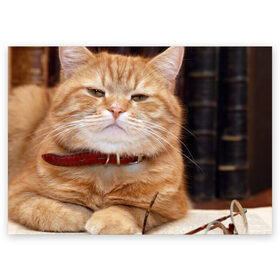 Поздравительная открытка с принтом Рыжий кот в Петрозаводске, 100% бумага | плотность бумаги 280 г/м2, матовая, на обратной стороне линовка и место для марки
 | грустный | добрый | животное | киса | киска кися | кот | котенок | котэ | кошка | красивый | лапа | лапка | ласковый | милый | моська | мурлыка | прикольный | смешной | унылый | усатый | шерсть