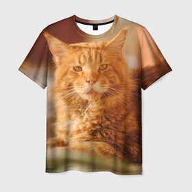 Мужская футболка 3D с принтом Рыжий кот в Петрозаводске, 100% полиэфир | прямой крой, круглый вырез горловины, длина до линии бедер | грустный | добрый | животное | киса | киска кися | кот | котенок | котэ | кошка | красивый | лапа | лапка | ласковый | милый | моська | мурлыка | прикольный | смешной | унылый | усатый | шерсть