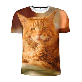Мужская футболка 3D спортивная с принтом Рыжий кот в Петрозаводске, 100% полиэстер с улучшенными характеристиками | приталенный силуэт, круглая горловина, широкие плечи, сужается к линии бедра | грустный | добрый | животное | киса | киска кися | кот | котенок | котэ | кошка | красивый | лапа | лапка | ласковый | милый | моська | мурлыка | прикольный | смешной | унылый | усатый | шерсть