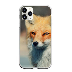 Чехол для iPhone 11 Pro матовый с принтом Лисица в Петрозаводске, Силикон |  | fox | животное | зверь | красивая | лес | лис | лиса | лисенок | лисица | лисичка | мех | патрикеевна | песец | плутовка | прикольная | природа | рыжая | рыжий цвет | сказка | хвост | хитрая | хищник