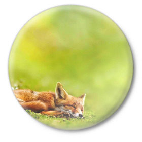 Значок с принтом Лисичка спит в Петрозаводске,  металл | круглая форма, металлическая застежка в виде булавки | fox | животное | зверь | красивая | лес | лис | лиса | лисенок | лисица | лисичка | мех | патрикеевна | песец | плутовка | прикольная | природа | рыжая | рыжий цвет | сказка | хвост | хитрая | хищник