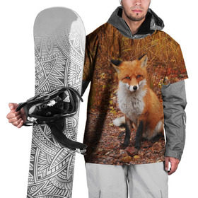 Накидка на куртку 3D с принтом Лиса в Петрозаводске, 100% полиэстер |  | Тематика изображения на принте: fox | животное | зверь | красивая | лес | лис | лиса | лисенок | лисица | лисичка | мех | патрикеевна | песец | плутовка | прикольная | природа | рыжая | рыжий цвет | сказка | хвост | хитрая | хищник