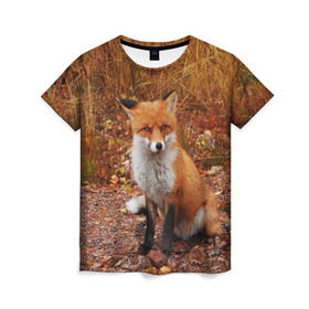 Женская футболка 3D с принтом Лиса в Петрозаводске, 100% полиэфир ( синтетическое хлопкоподобное полотно) | прямой крой, круглый вырез горловины, длина до линии бедер | fox | животное | зверь | красивая | лес | лис | лиса | лисенок | лисица | лисичка | мех | патрикеевна | песец | плутовка | прикольная | природа | рыжая | рыжий цвет | сказка | хвост | хитрая | хищник