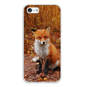 Чехол для iPhone 5/5S матовый с принтом Лиса в Петрозаводске, Силикон | Область печати: задняя сторона чехла, без боковых панелей | fox | животное | зверь | красивая | лес | лис | лиса | лисенок | лисица | лисичка | мех | патрикеевна | песец | плутовка | прикольная | природа | рыжая | рыжий цвет | сказка | хвост | хитрая | хищник