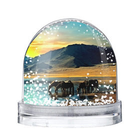 Снежный шар с принтом Лошади в Петрозаводске, Пластик | Изображение внутри шара печатается на глянцевой фотобумаге с двух сторон | 3d | берег | вода | горы | животное | закат | лошади | небо | прикольные | природа | река | солнце | яркие