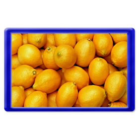 Магнит 45*70 с принтом Лимончики в Петрозаводске, Пластик | Размер: 78*52 мм; Размер печати: 70*45 | 3d | витамин | еда | желтый | лето | лимон | много | пища | прикольные | сочные | фрукты | цитрус | яркие