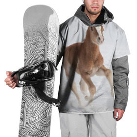 Накидка на куртку 3D с принтом Жеребенок в Петрозаводске, 100% полиэстер |  | вожжи | голоп | грация | езда | есаул | жеребец | животное | кобыла | кобылица | конь | копыта | копыто | лошадь | пегас | пони | рысак | сбруя | скакун | скачет | скачка | стойло | троя