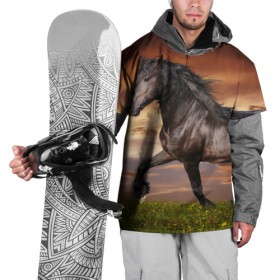 Накидка на куртку 3D с принтом Черный конь в Петрозаводске, 100% полиэстер |  | вожжи | голоп | грация | езда | есаул | жеребец | животное | кобыла | кобылица | конь | копыта | копыто | лошадь | пегас | пони | рысак | сбруя | скакун | скачет | стойло | троя