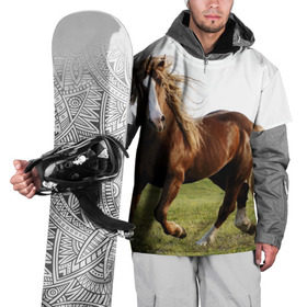 Накидка на куртку 3D с принтом Лошадь в Петрозаводске, 100% полиэстер |  | вожжи | голоп | грация | езда | есаул | жеребец | животное | кобыла | кобылица | конь | копыта | копыто | лошадь | пегас | пони | рысак | сбруя | скакун | скачет | стойло | троя