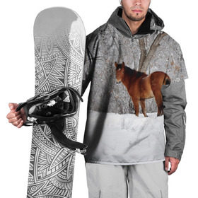 Накидка на куртку 3D с принтом Лошадка в зимнем лесу в Петрозаводске, 100% полиэстер |  | Тематика изображения на принте: вожжи | голоп | грация | езда | есаул | жеребец | животное | кобыла | кобылица | конь | копыта | копыто | лошадь | пегас | пони | рысак | сбруя | скакун | скачет | скачка | стойло | троя