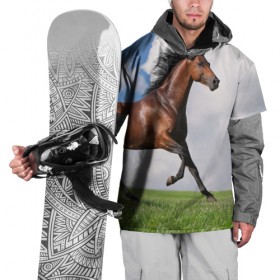 Накидка на куртку 3D с принтом Жеребец в Петрозаводске, 100% полиэстер |  | вожжи | голоп | грация | езда | есаул | жеребец | животное | кобыла | кобылица | конь | копыта | копыто | лошадь | пегас | пони | рысак | сбруя | скакун | скачет | скачка | стойло | троя
