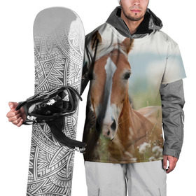 Накидка на куртку 3D с принтом Лошадь в Петрозаводске, 100% полиэстер |  | вожжи | голоп | грация | езда | есаул | жеребец | животное | кобыла | кобылица | конь | копыта | копыто | лошадь | пегас | пони | рысак | сбруя | скакун | скачет | скачка | стойло | троя